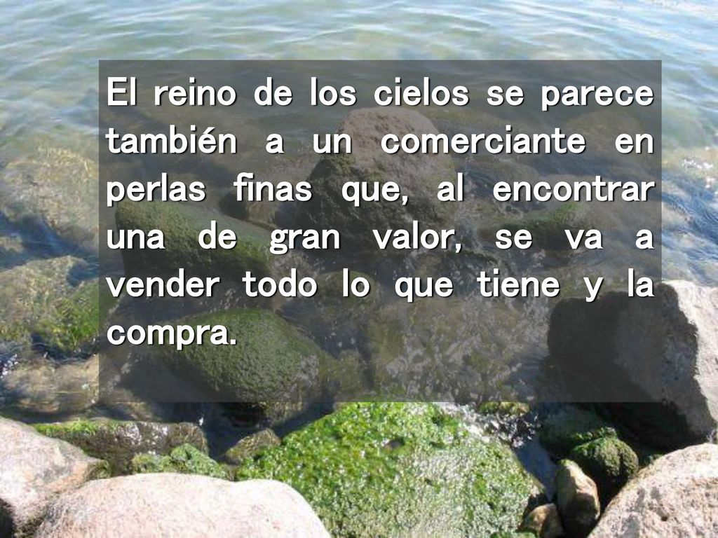 El reino de los cielos se parece también a un comerciante en perlas finas que, al encontrar una de gran valor, se va a vender todo lo que tiene y la compra.