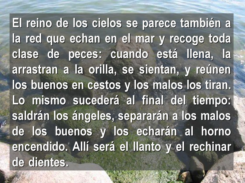 El reino de los cielos se parece también a la red que echan en el mar y recoge toda clase de peces: cuando está llena, la arrastran a la orilla, se sientan, y reúnen los buenos en cestos y los malos los tiran.