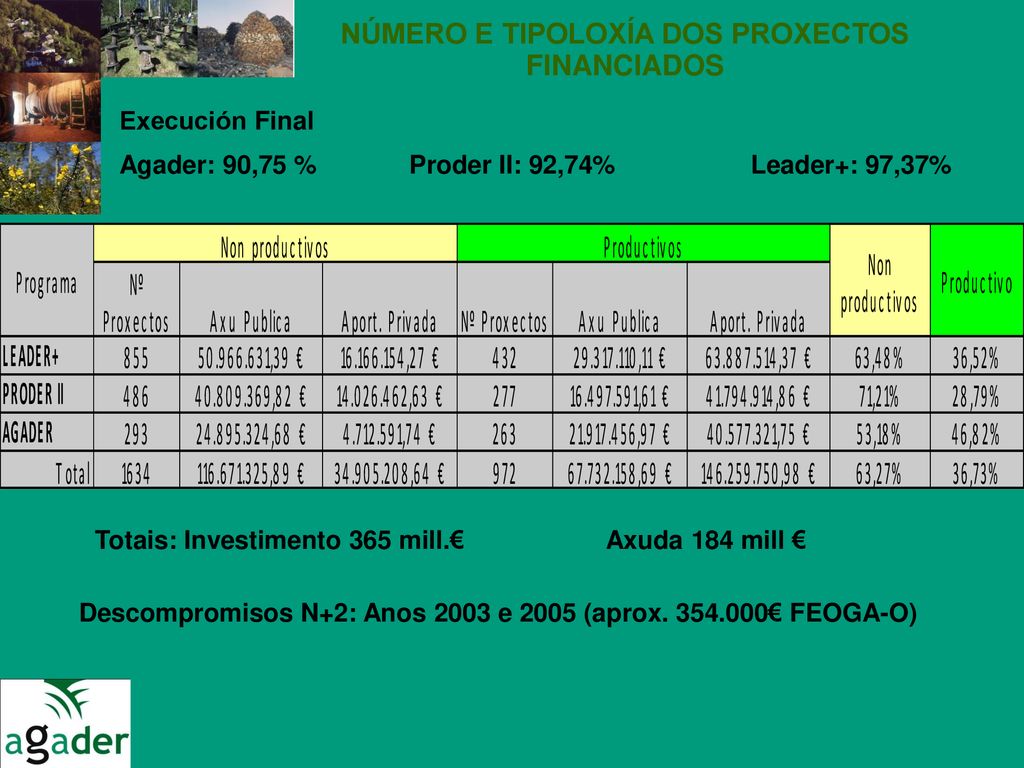 NÚMERO E TIPOLOXÍA DOS PROXECTOS FINANCIADOS