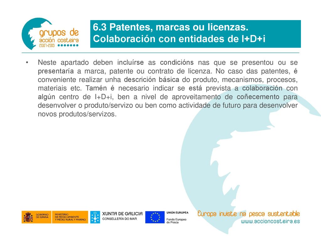 6.3 Patentes, marcas ou licenzas. Colaboración con entidades de I+D+i