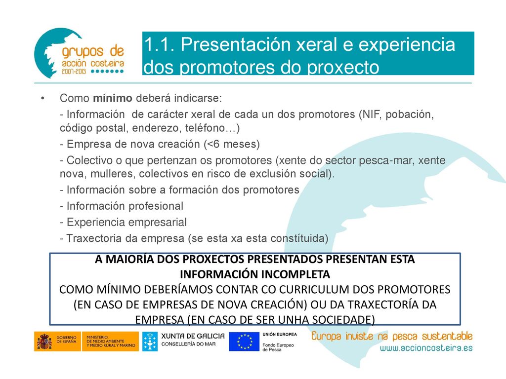 1.1. Presentación xeral e experiencia dos promotores do proxecto