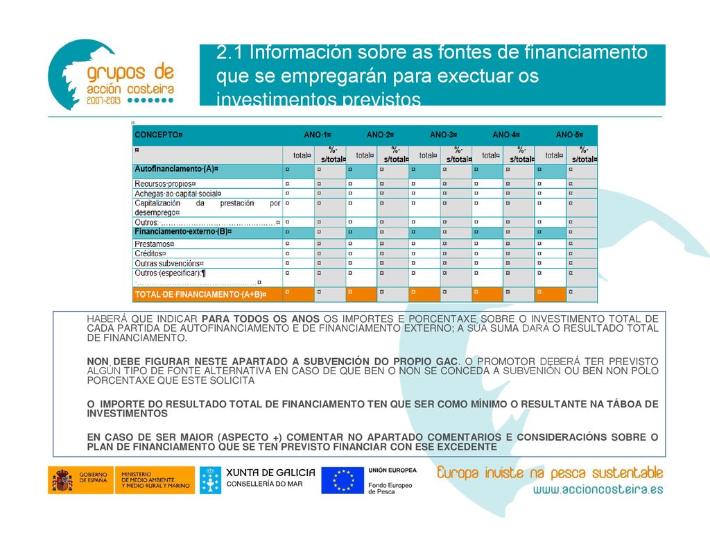 2.1 Información sobre as fontes de financiamento que se empregarán para exectuar os investimentos previstos