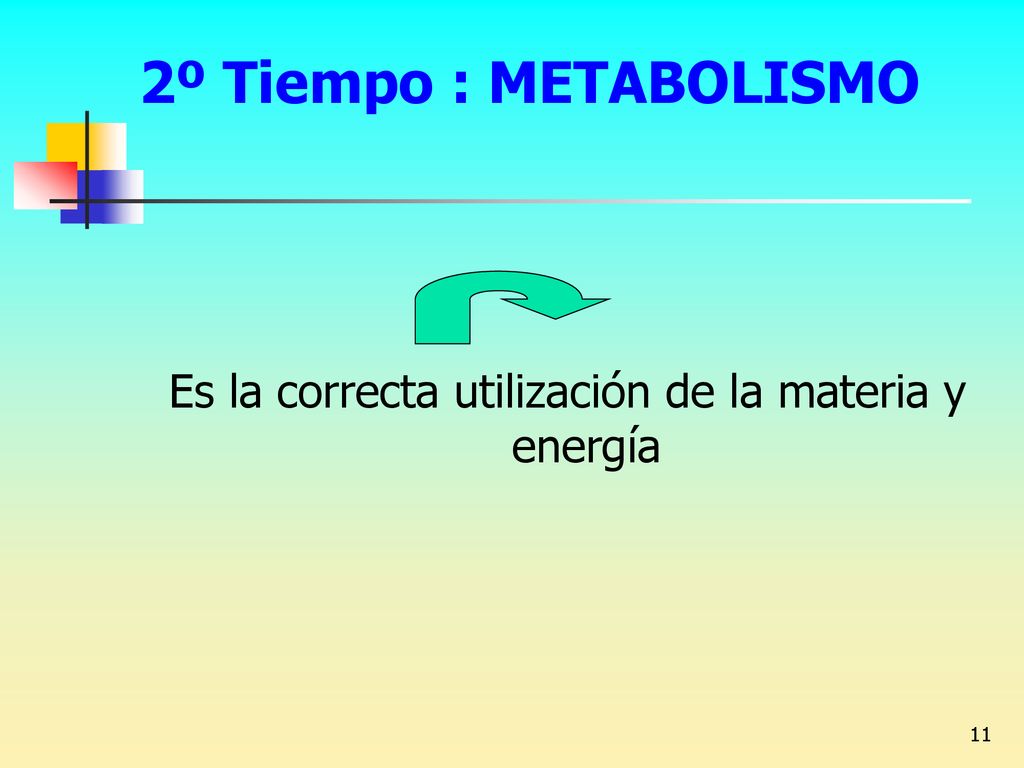 Es la correcta utilización de la materia y energía