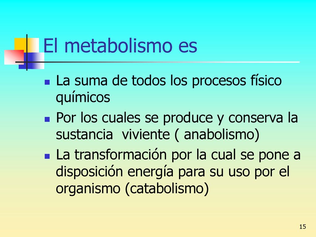 El metabolismo es La suma de todos los procesos físico químicos