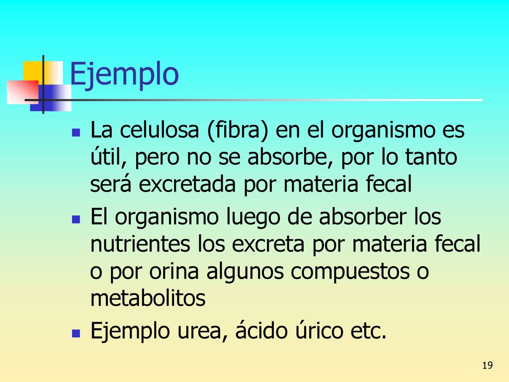 Ejemplo La celulosa (fibra) en el organismo es útil, pero no se absorbe, por lo tanto será excretada por materia fecal.