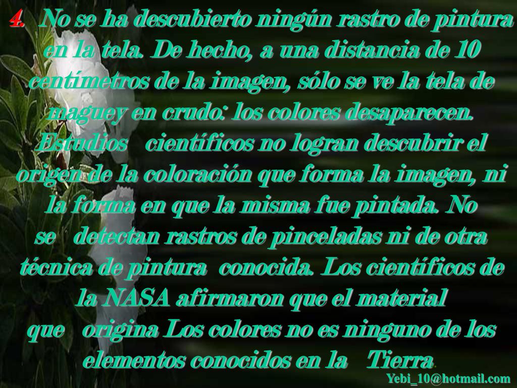 4. No se ha descubierto ningún rastro de pintura en la tela