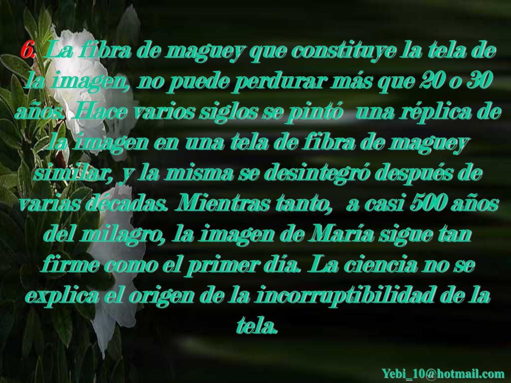 6. La fibra de maguey que constituye la tela de la imagen, no puede perdurar más que 20 o 30 años. Hace varios siglos se pintó una réplica de la imagen en una tela de fibra de maguey similar, y la misma se desintegró después de varias décadas. Mientras tanto, a casi 500 años del milagro, la imagen de María sigue tan firme como el primer día. La ciencia no se explica el origen de la incorruptibilidad de la tela.