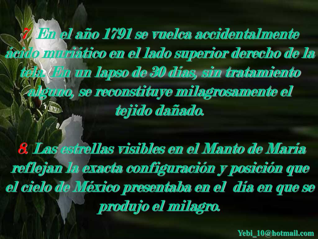 7 En el año 1791 se vuelca accidentalmente ácido muriático en el lado superior derecho de la tela. En un lapso de 30 días, sin tratamiento alguno, se reconstituye milagrosamente el tejido dañado.