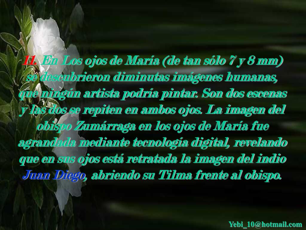 11. En Los ojos de María (de tan sólo 7 y 8 mm) se descubrieron diminutas imágenes humanas, que ningún artista podría pintar. Son dos escenas y las dos se repiten en ambos ojos. La imagen del obispo Zumárraga en los ojos de María fue agrandada mediante tecnología digital, revelando que en sus ojos está retratada la imagen del indio Juan Diego, abriendo su Tilma frente al obispo.