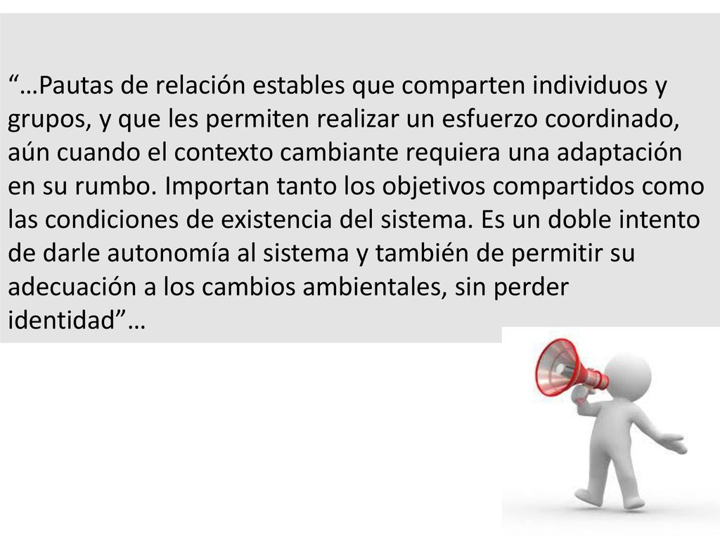 …Pautas de relación estables que comparten individuos y grupos, y que les permiten realizar un esfuerzo coordinado, aún cuando el contexto cambiante requiera una adaptación en su rumbo.