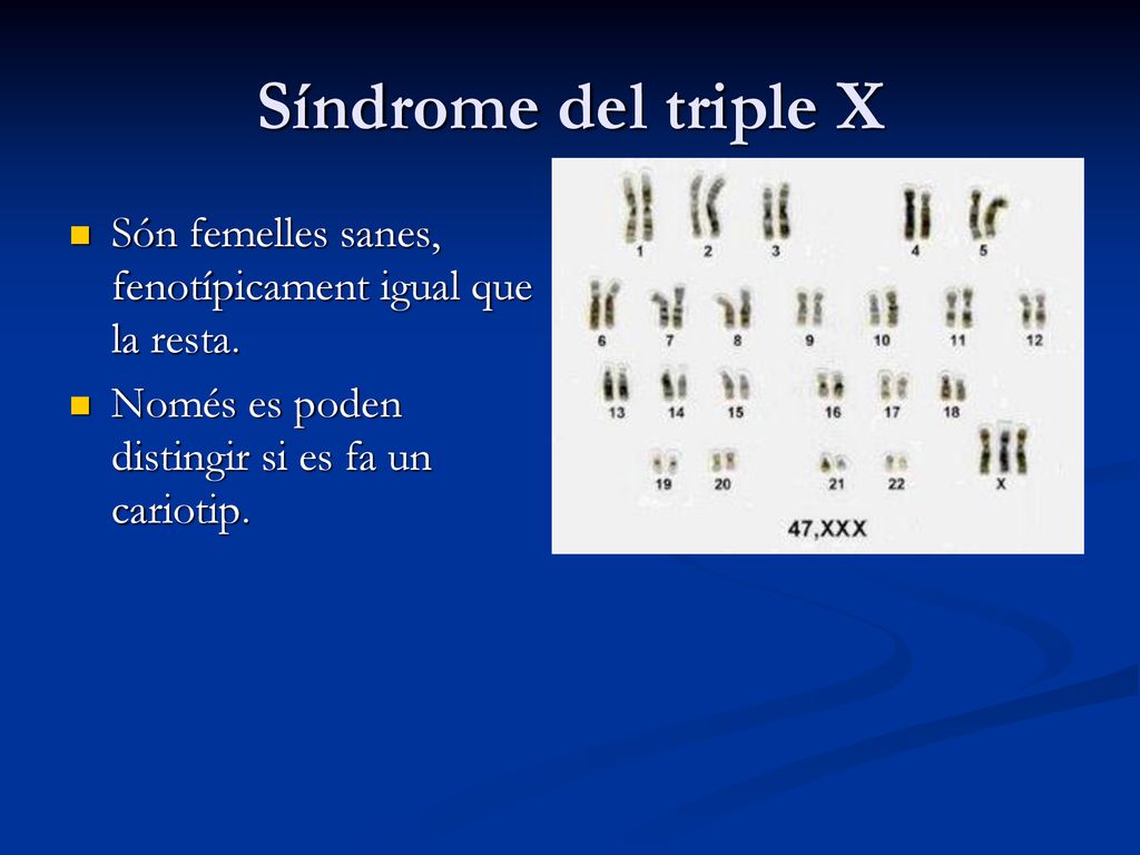 Síndrome del triple X Són femelles sanes, fenotípicament igual que la resta.