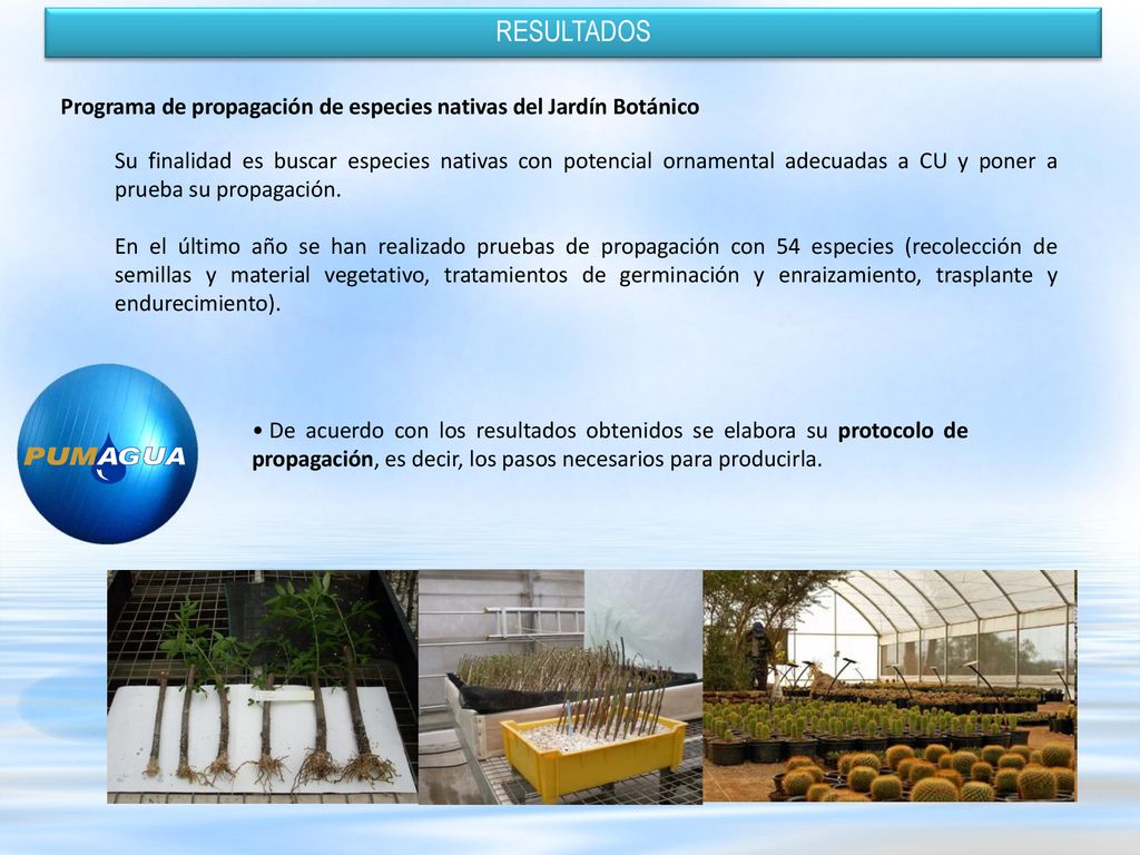 RESULTADOS Programa de propagación de especies nativas del Jardín Botánico.