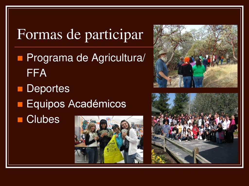 Formas de participar Programa de Agricultura/ FFA Deportes