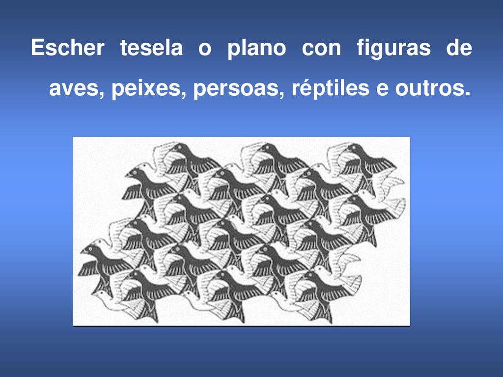 Escher tesela o plano con figuras de aves, peixes, persoas, réptiles e outros.