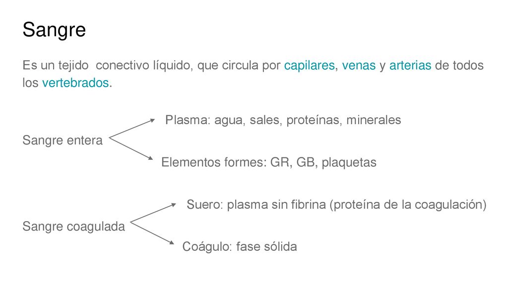 Sangre Es un tejido conectivo líquido, que circula por capilares, venas y arterias de todos los vertebrados.