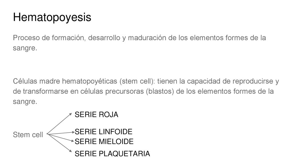 Hematopoyesis Proceso de formación, desarrollo y maduración de los elementos formes de la sangre.
