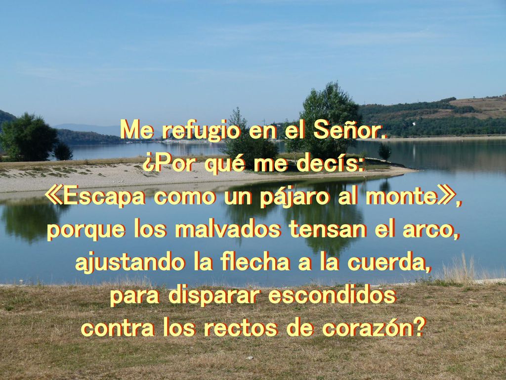 «Escapa como un pájaro al monte», porque los malvados tensan el arco,