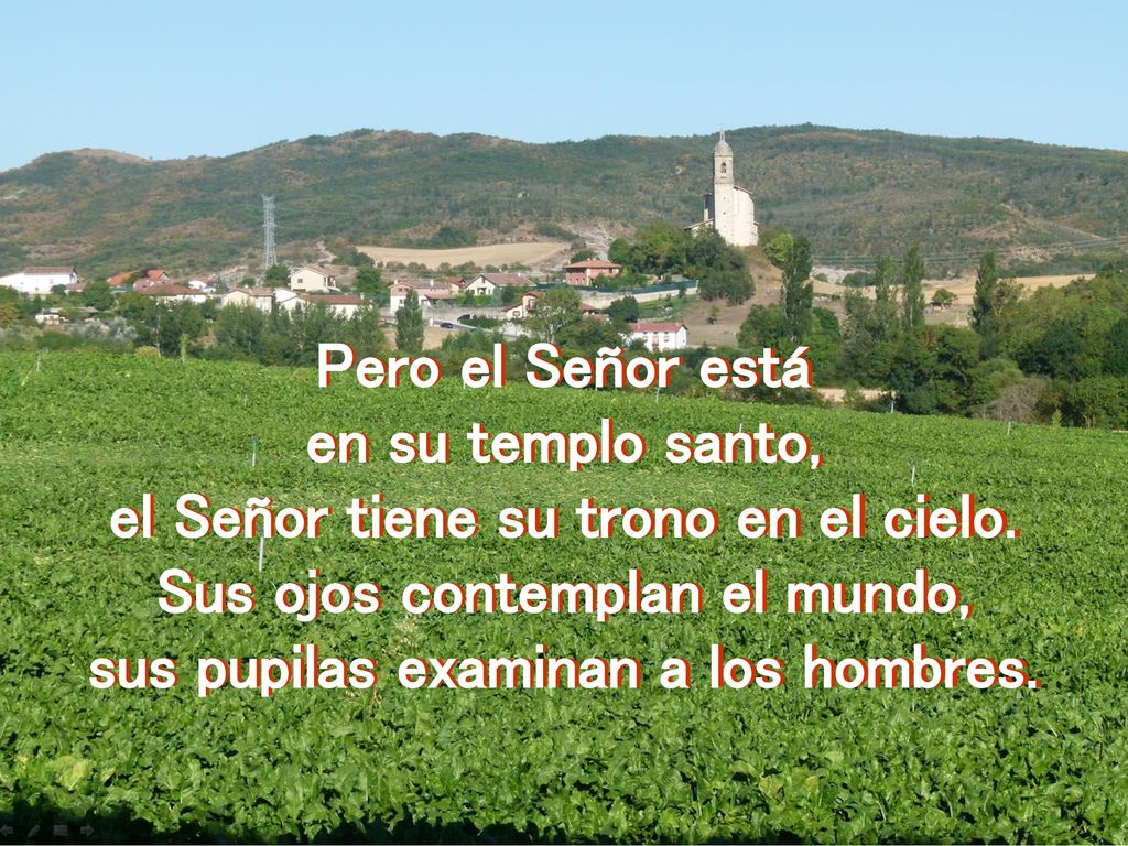 el Señor tiene su trono en el cielo. Sus ojos contemplan el mundo,