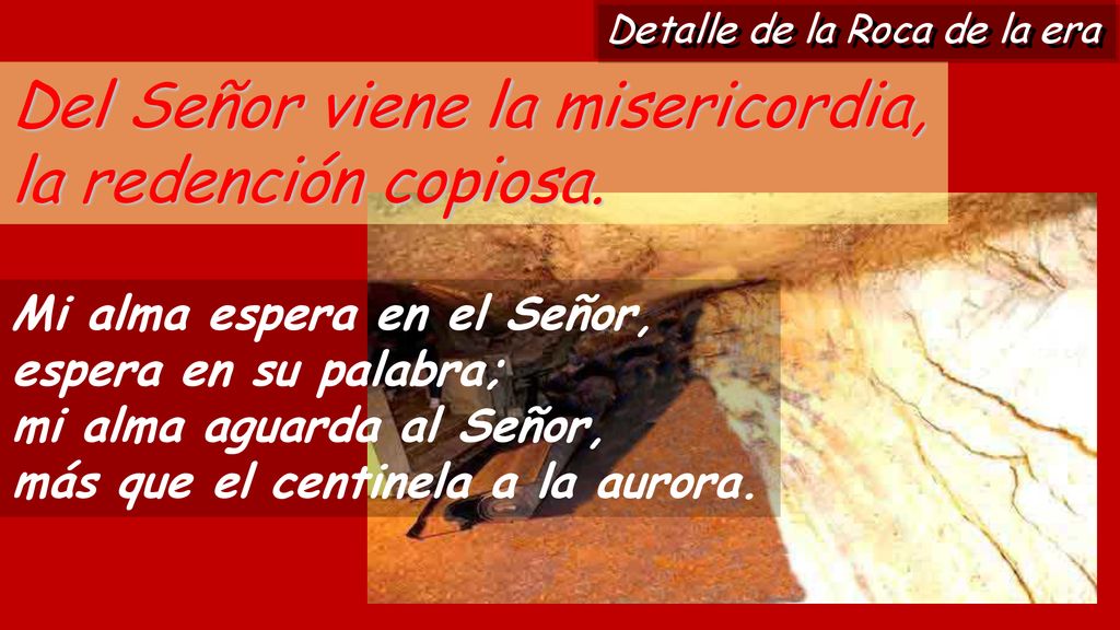 Del Señor viene la misericordia, la redención copiosa.