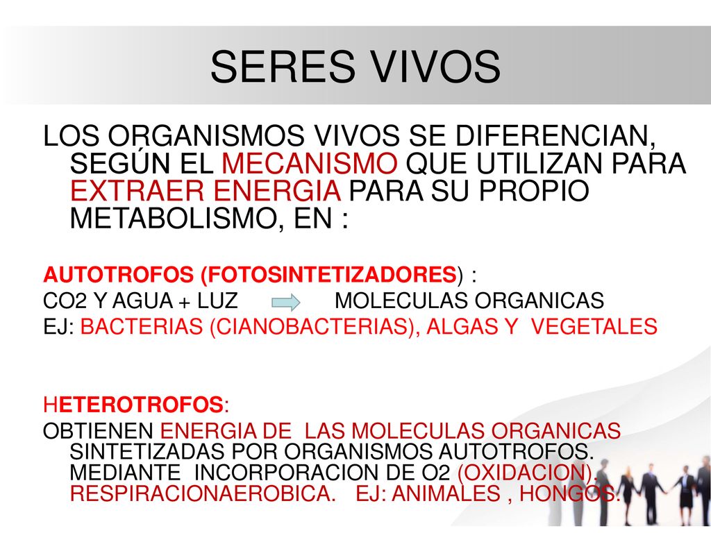 SERES VIVOS LOS ORGANISMOS VIVOS SE DIFERENCIAN, SEGÚN EL MECANISMO QUE UTILIZAN PARA EXTRAER ENERGIA PARA SU PROPIO METABOLISMO, EN :