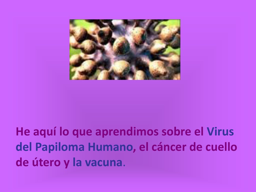He aquí lo que aprendimos sobre el Virus del Papiloma Humano, el cáncer de cuello de útero y la vacuna.