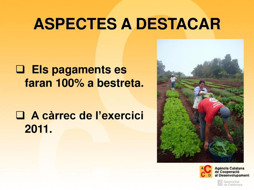 ASPECTES A DESTACAR Els pagaments es faran 100% a bestreta.