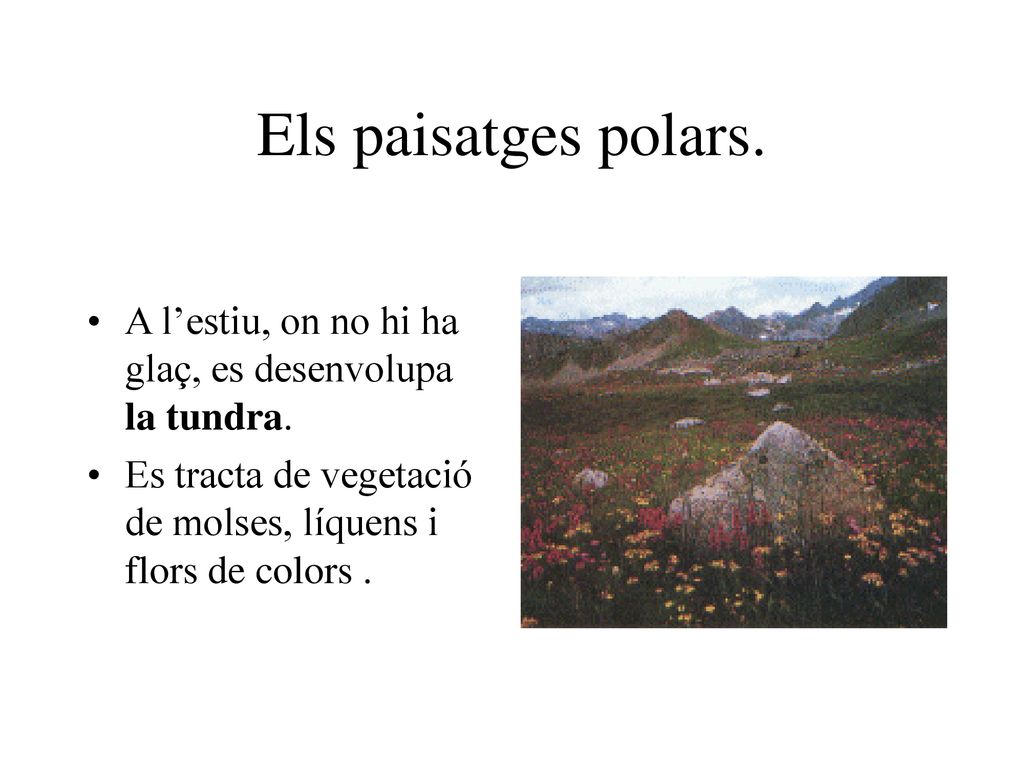 Els paisatges polars. A l’estiu, on no hi ha glaç, es desenvolupa la tundra.