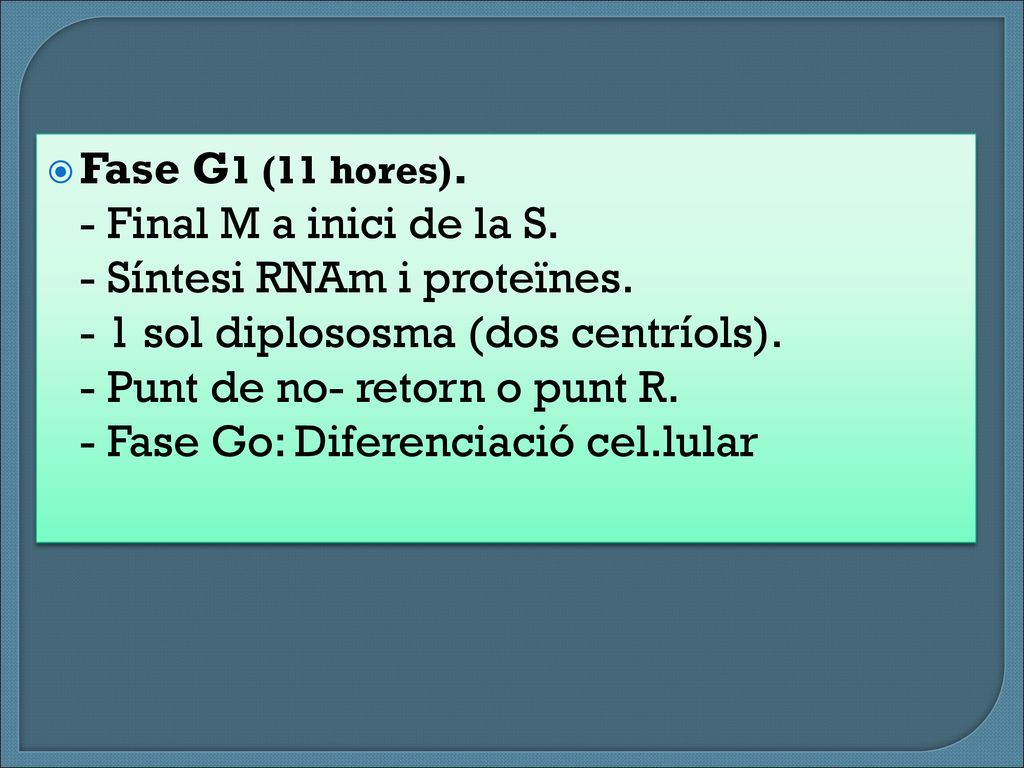 Fase G1 (11 hores). - Final M a inici de la S. - Síntesi RNAm i proteïnes. - 1 sol diplososma (dos centríols).