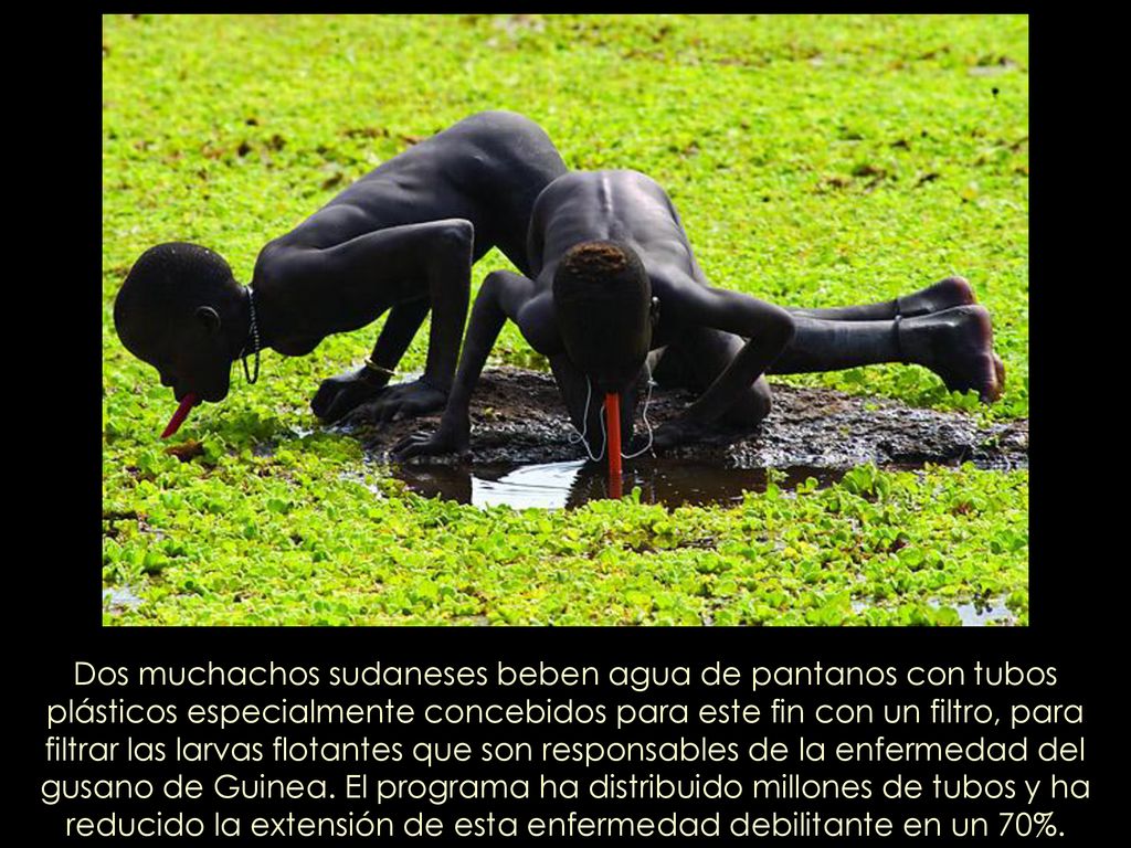Dos muchachos sudaneses beben agua de pantanos con tubos plásticos especialmente concebidos para este fin con un filtro, para filtrar las larvas flotantes que son responsables de la enfermedad del gusano de Guinea.