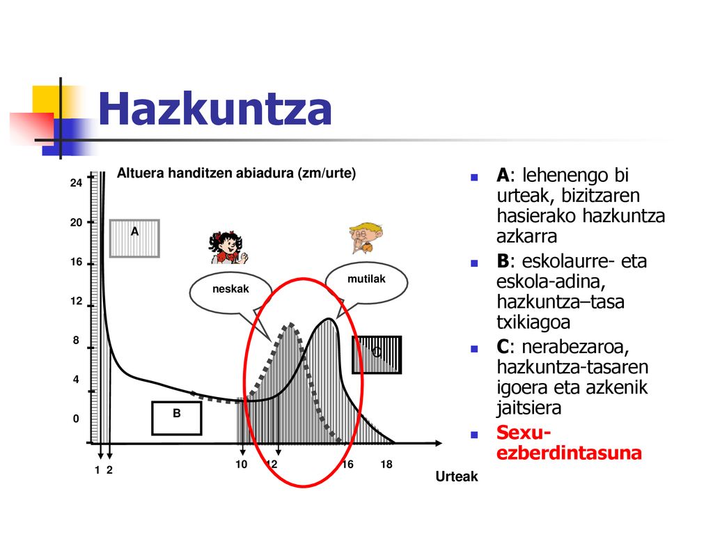 Hazkuntza Altuera handitzen abiadura (zm/urte) A: lehenengo bi urteak, bizitzaren hasierako hazkuntza azkarra.