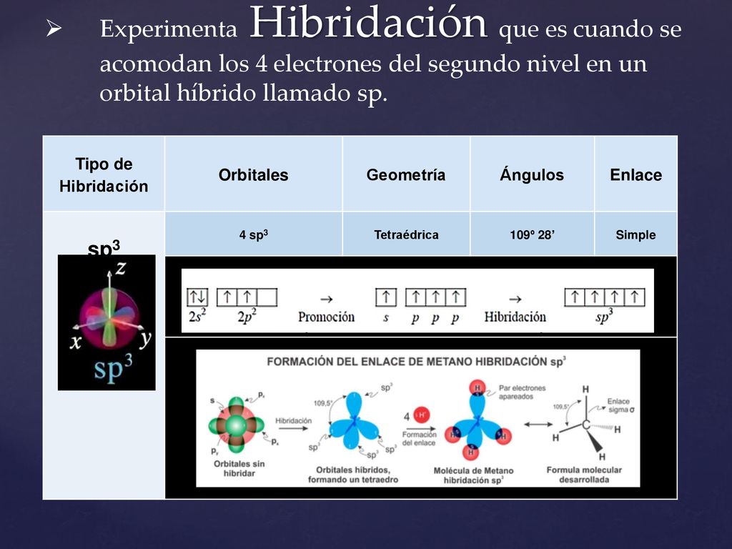 Experimenta Hibridación que es cuando se acomodan los 4 electrones del segundo nivel en un orbital híbrido llamado sp.