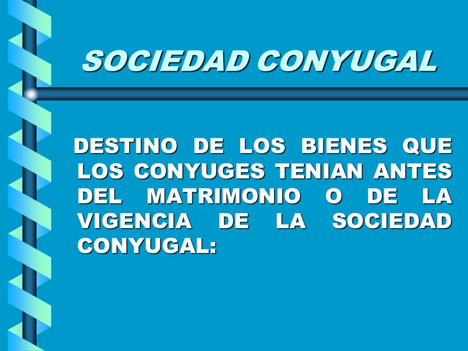 SOCIEDAD CONYUGAL DESTINO DE LOS BIENES QUE LOS CONYUGES TENIAN ANTES DEL MATRIMONIO O DE LA VIGENCIA DE LA SOCIEDAD CONYUGAL:
