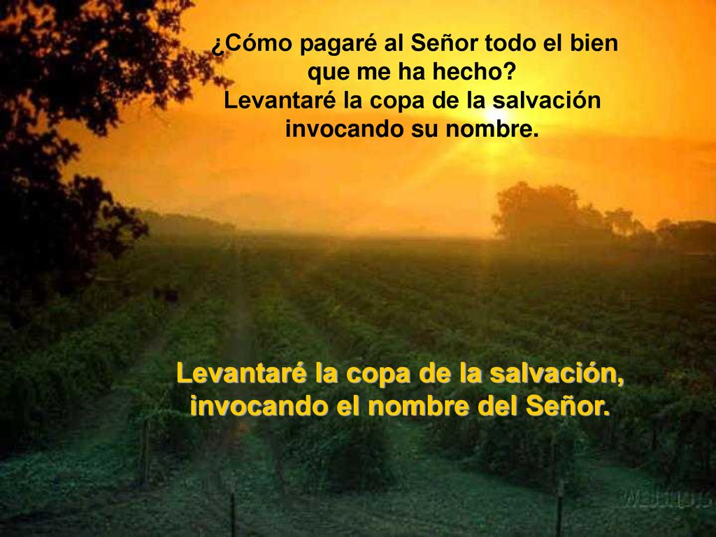 Levantaré la copa de la salvación, invocando el nombre del Señor.