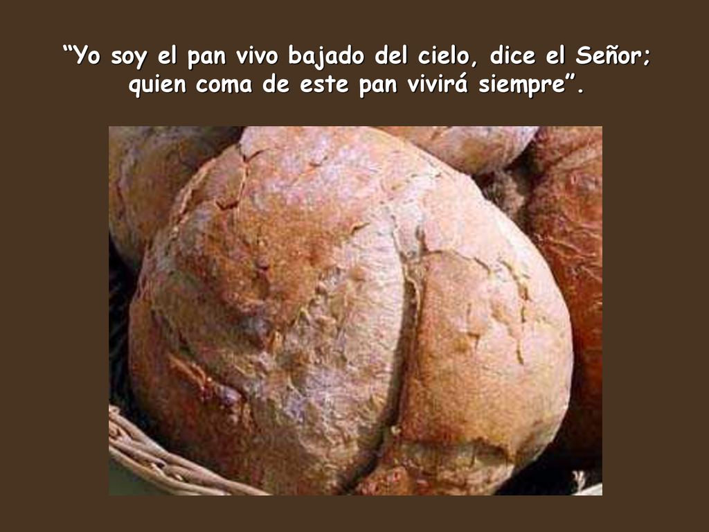 Yo soy el pan vivo bajado del cielo, dice el Señor;