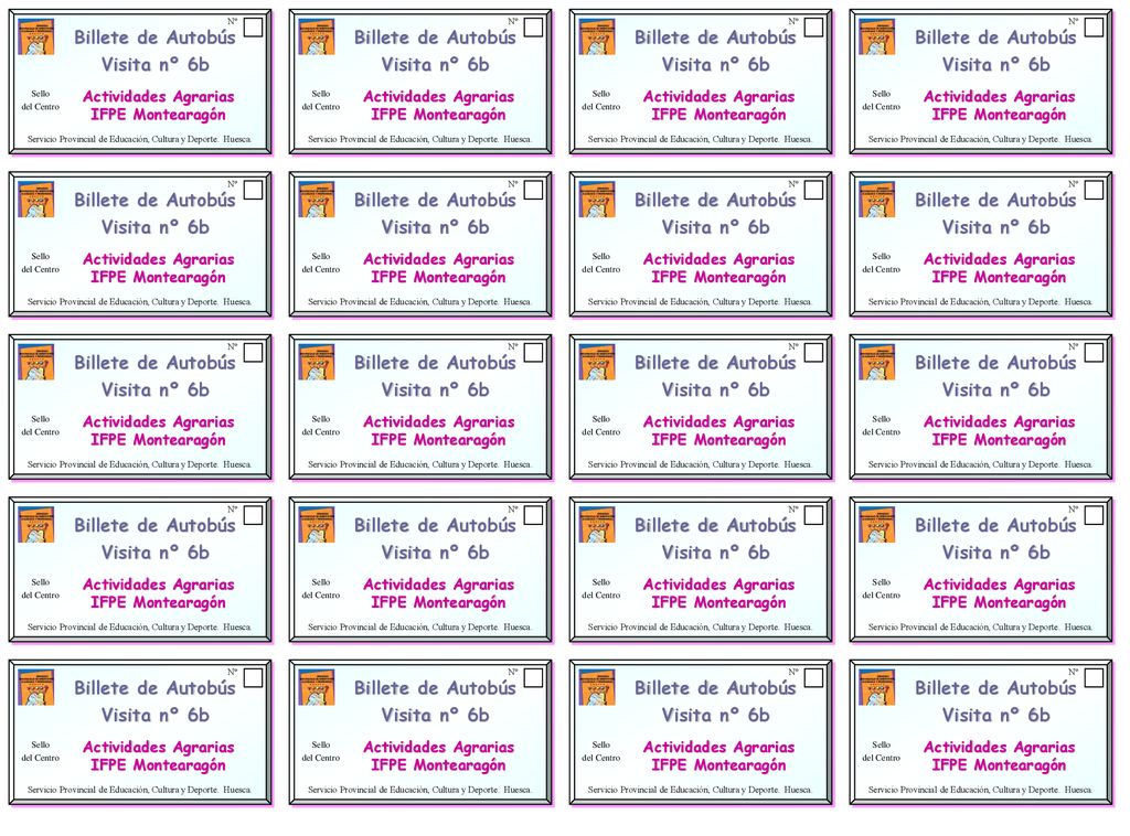 Billete de Autobús Visita nº 6b Billete de Autobús Visita nº 6b