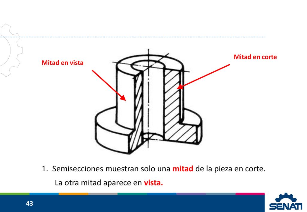 Semisecciones muestran solo una mitad de la pieza en corte.