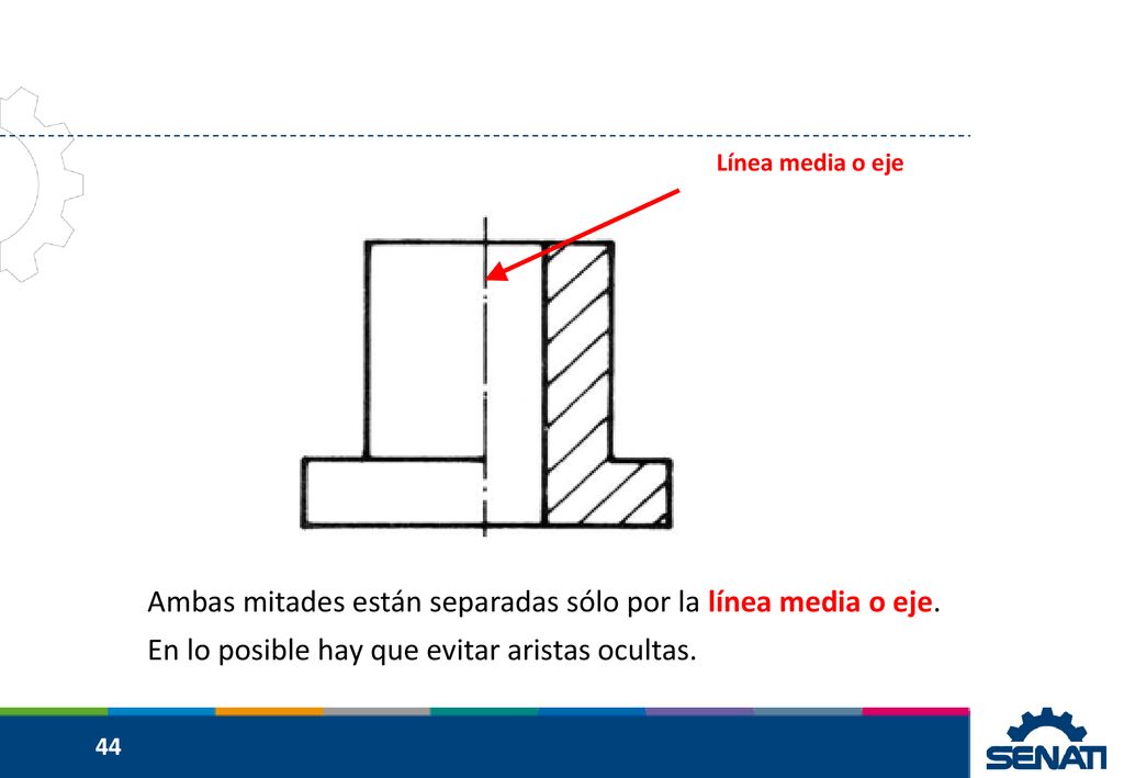 Ambas mitades están separadas sólo por la línea media o eje.