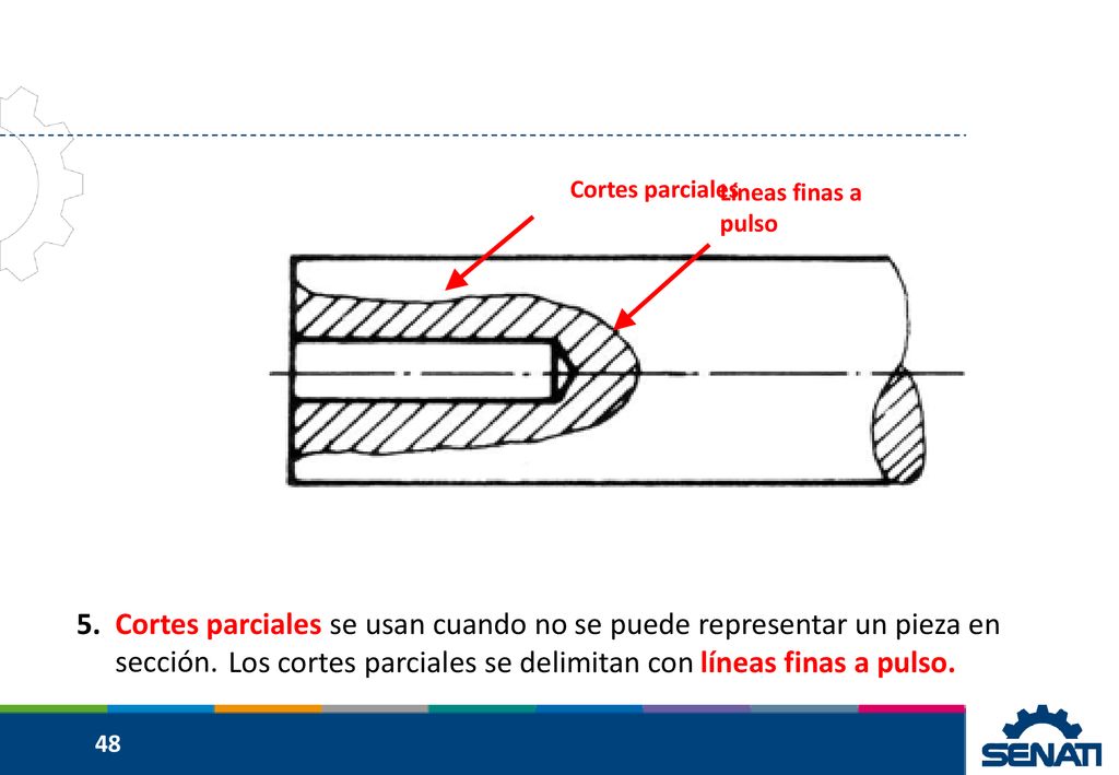 Los cortes parciales se delimitan con líneas finas a pulso.