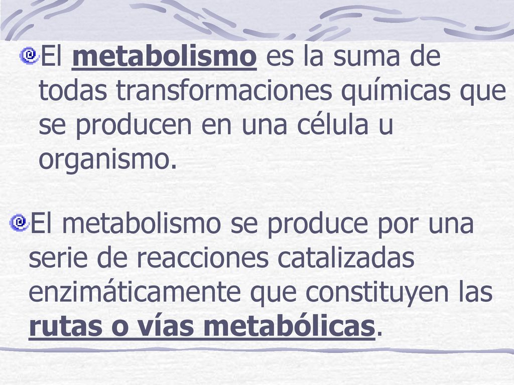 El metabolismo es la suma de todas transformaciones químicas que se producen en una célula u organismo.
