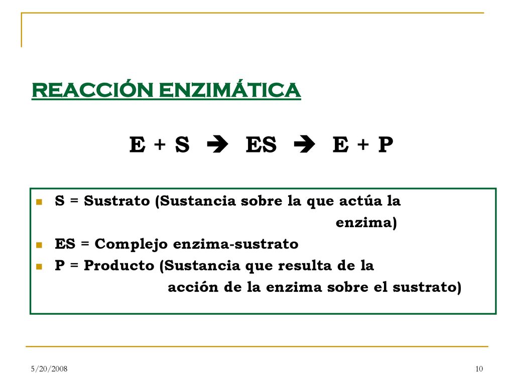 REACCIÓN ENZIMÁTICA E + S  ES  E + P