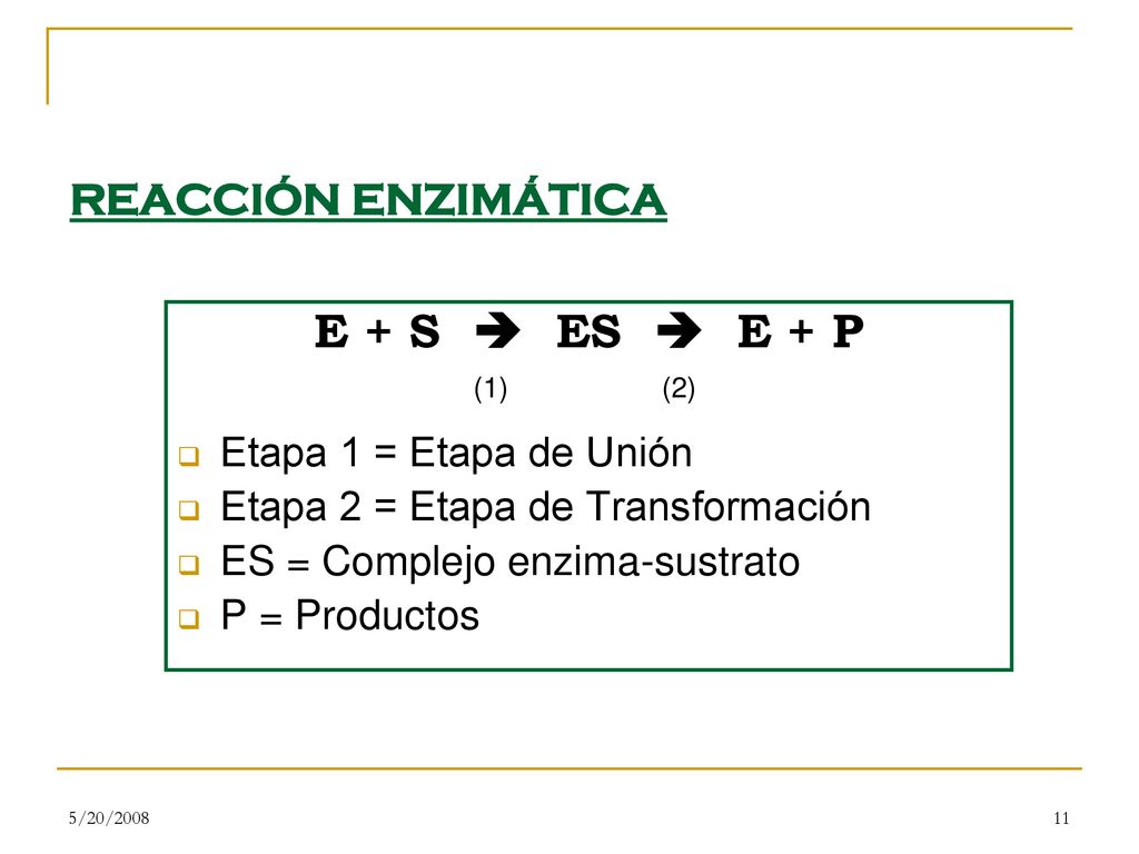 REACCIÓN ENZIMÁTICA E + S  ES  E + P Etapa 1 = Etapa de Unión
