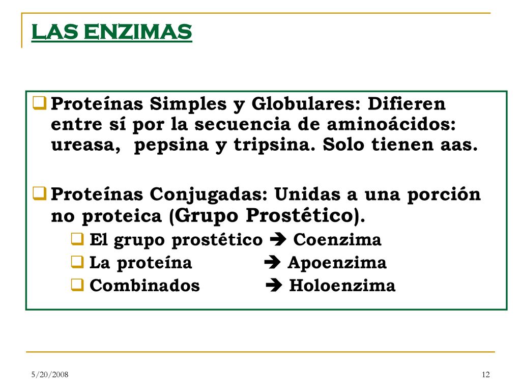 LAS ENZIMAS Proteínas Simples y Globulares: Difieren entre sí por la secuencia de aminoácidos: ureasa, pepsina y tripsina. Solo tienen aas.