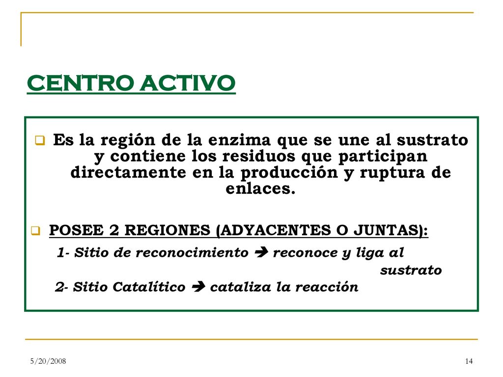 CENTRO ACTIVO 1- Sitio de reconocimiento  reconoce y liga al