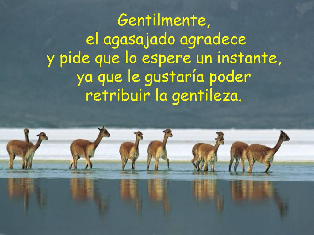 Gentilmente, el agasajado agradece y pide que lo espere un instante, ya que le gustaría poder retribuir la gentileza.