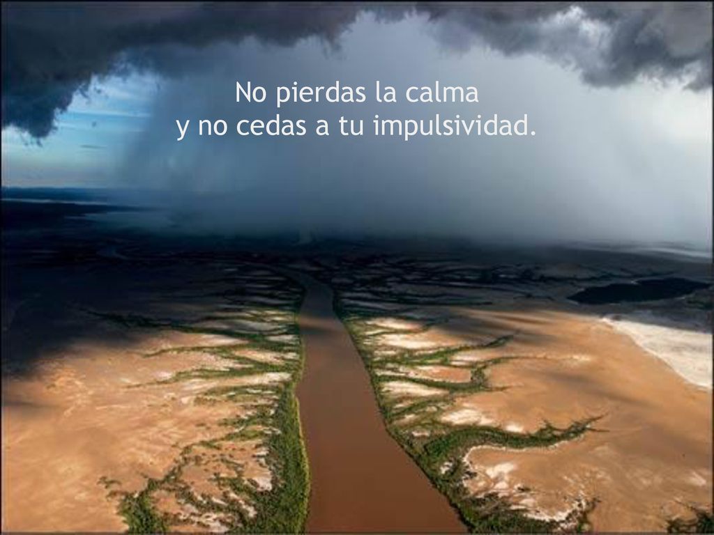No pierdas la calma y no cedas a tu impulsividad.