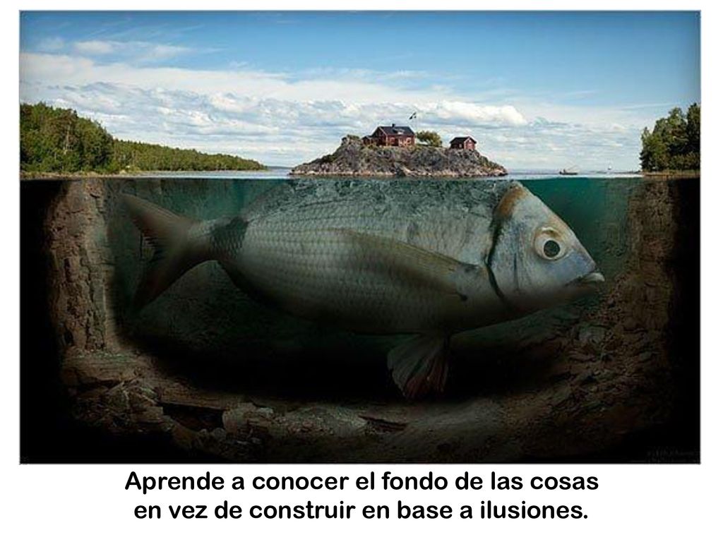 Aprende a conocer el fondo de las cosas en vez de construir en base a ilusiones.