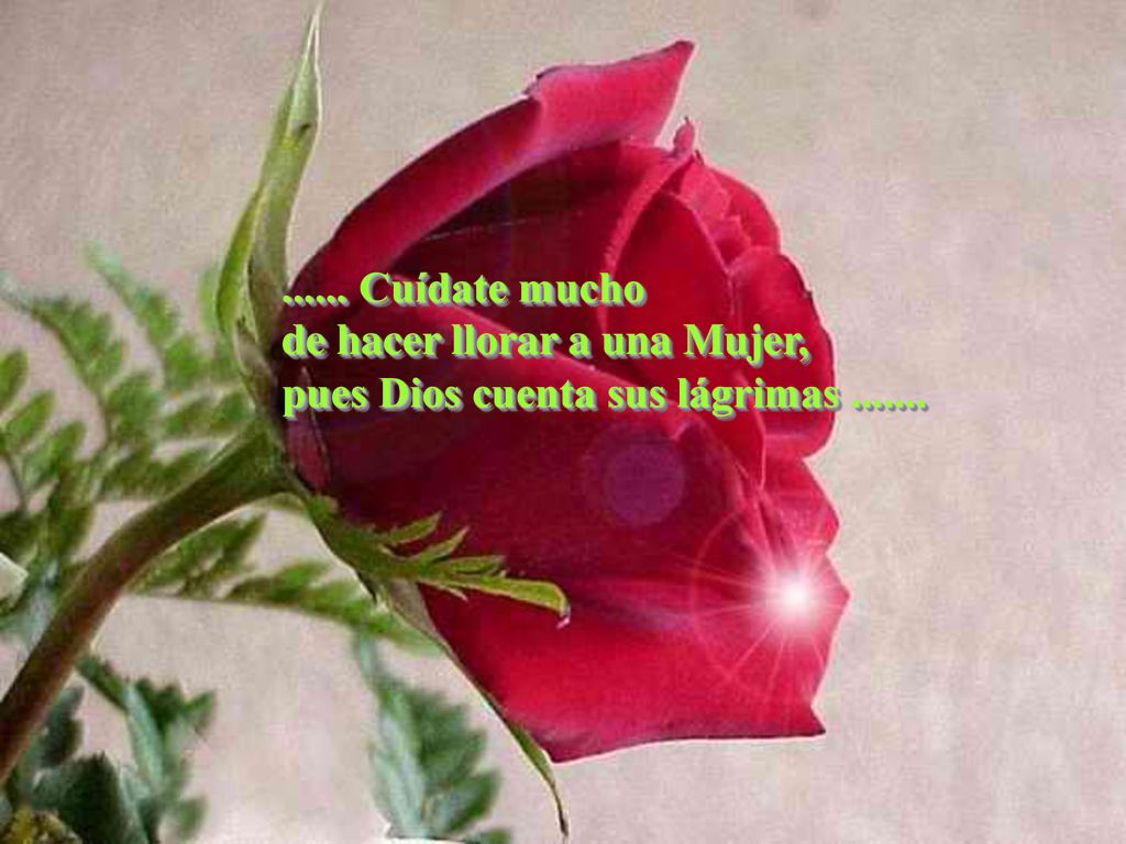 Cuídate mucho de hacer llorar a una Mujer, pues Dios cuenta sus lágrimas