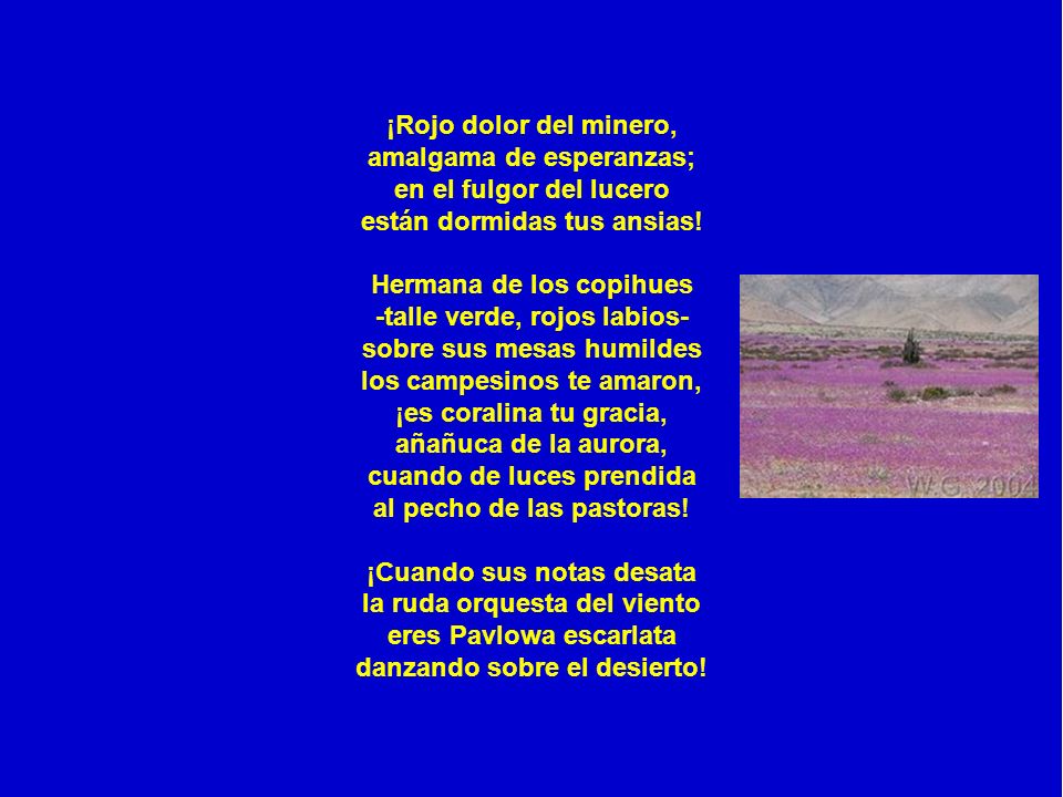 ¡Rojo dolor del minero, amalgama de esperanzas; en el fulgor del lucero están dormidas tus ansias.