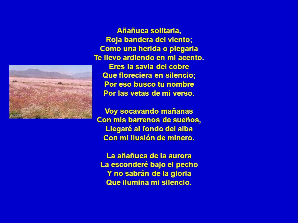 Añañuca solitaria, Roja bandera del viento; Como una herida o plegaria Te llevo ardiendo en mi acento.