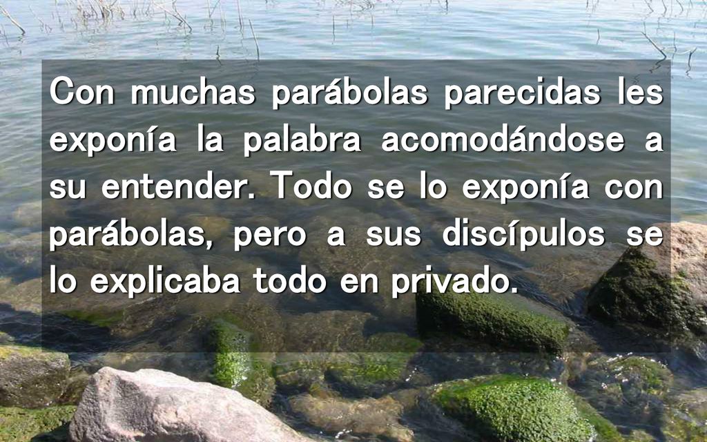 Con muchas parábolas parecidas les exponía la palabra acomodándose a su entender.